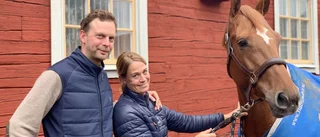 Borensbergsparet satsar på ridsporten: "Tufft, slitigt, dyrt och alldeles underbart" 