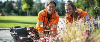 Sköter om blomstrande Skellefteå