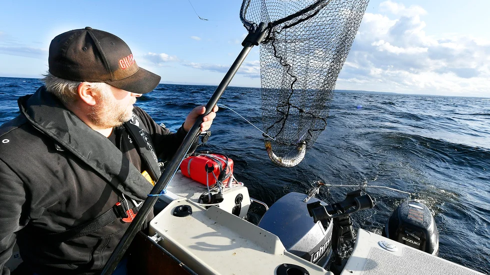 Till slutet av september kan Lennart Pettersson fiska i havet. Han rör sig från Byske i norr till Bjuröklubb i söder.