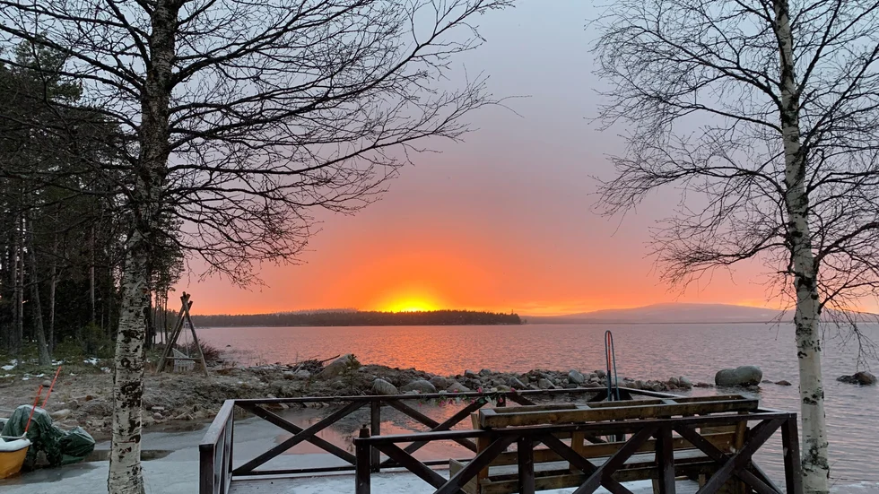 Kia Granström bjuder på en fantastisk läsarbild från sin oas.
