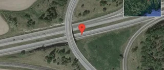Rådjur på vägen på E4