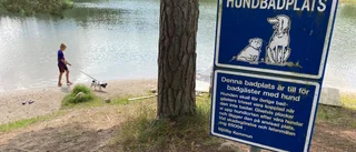 Här får du ta ett dopp med din hund