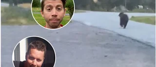 Björnfilmen satte Ersnäs på kartan: "Helt galet"