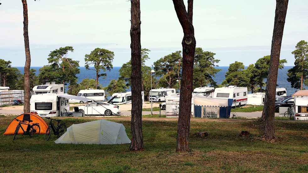 På Snäck Camping fanns det knappt några lediga platser under vecka 29. Flera personer smög sig in nattetid när de fick höra talas om lediga gräsytor där de kunde slå upp sina tält för natten.