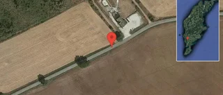 Häst på vägen på väg 521