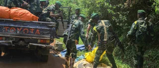 Gisslan fritagen i Kongo-Kinshasa