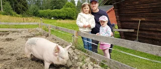 Välbesökt hembygdsområde som har klarat krisen