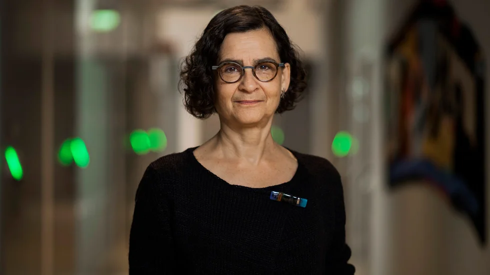 Anneli Bergholm Söder