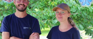 Sommaraktiviteter i kunskapens tecken på Naturum
