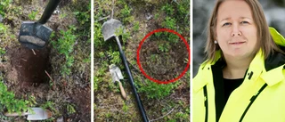 Zinkgruvan Mining: "Lätt att man hoppar till gruva direkt"