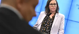 Sverige behöver ta till vara den arbetskraft som finns