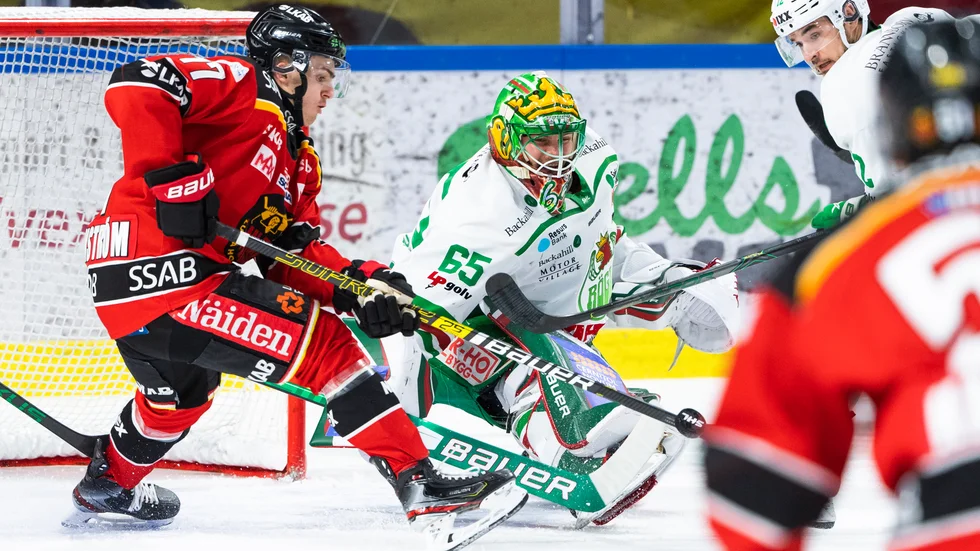 Kalixfostrade målvakten Christoffer Rifalk har förlängt kontraktet med guldjagande Rögle.