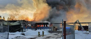 Försäkringsbolaget: Detta gäller för dig som har fordon på vinterförvaring