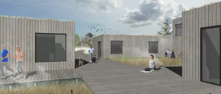 Nytt inslag i besöksnäringen: Små kojor i skogen för ro och vila