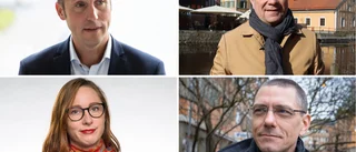 ”Oseriöst är bara förnamnet – ovärdigt svensk demokrati”
