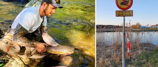 De ska främja fisket i Torshällaån: "Vi kommer att införa fiskekort"