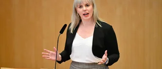 Pehrson: V har tappat det och sprider skräck