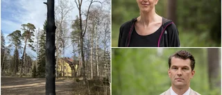 De skapar konst för stadsdel i förändring