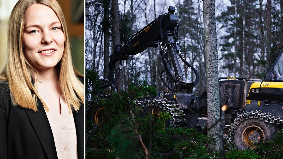 Uppsalaföretaget Biometrias har tagit fram en AI-lösning för skogsnäringen. "Med ASTA kan vi hjälpa våra kunder att sänka kostnaderna för virkesmätning", säger Tanja Keis, ansvarig för Biometria Labs, i ett pressmeddelande.
