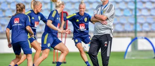 Allt inför Sveriges VM-kvalpremiär