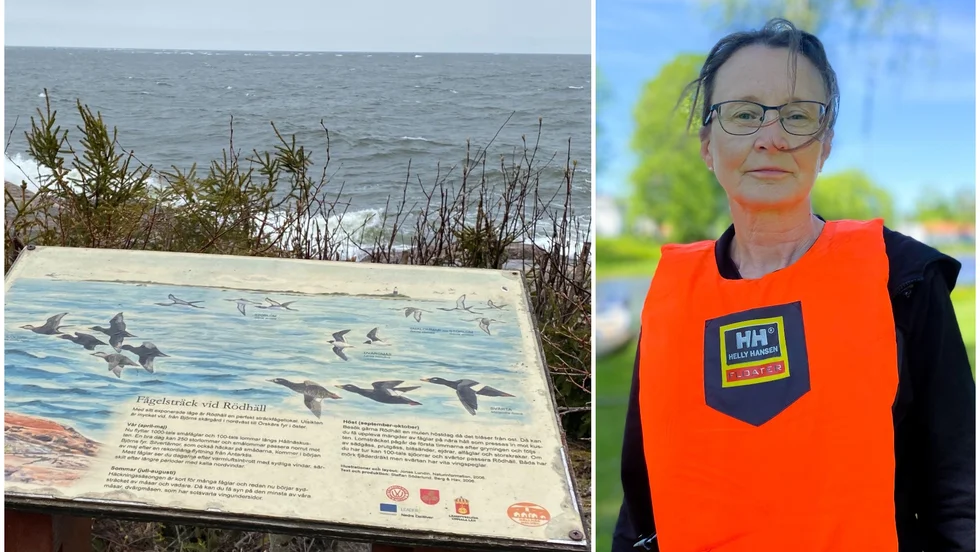Tierp är en av landets bästa friluftskommuner enligt Naturvårdsverket. Informationsskyltar är en viktig del för ett bra friluftsliv, menar Gunilla Ström, fritidsintendent i Tierps kommun.