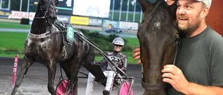 Skellefteskräll tog sig till storloppsfinal – tävlar om fyra miljoner i klassiskt lopp: ”Riktigt stort”