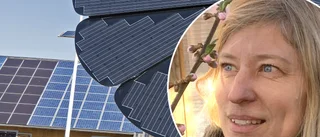 Solparken visar upp sig under tioårsjubileum
