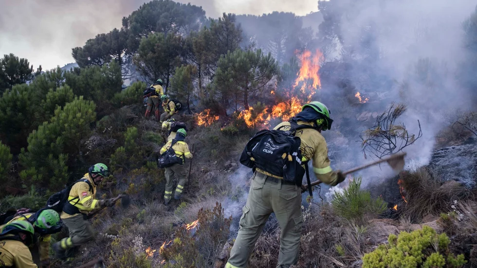 Brandmän bekämpar den stora branden i provinsen Málaga i Spanien. Bilden togs i lördags.