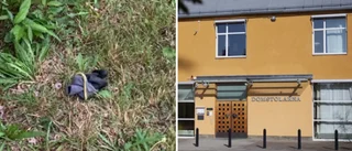 Inbrottstjuv tappade handske med dna – man åtalad