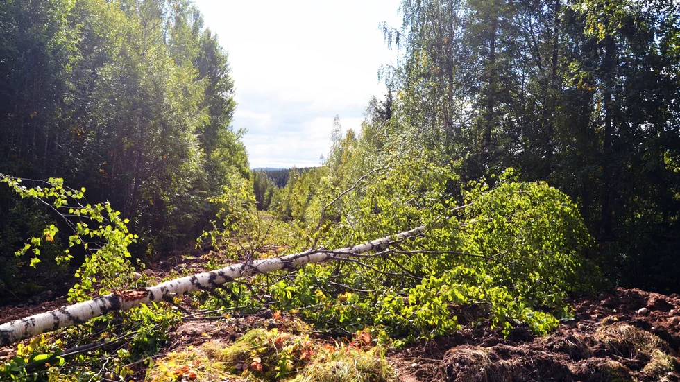 Så här ser den gamla vägen ut. Att promenera ser tämligen besvärligt ut.