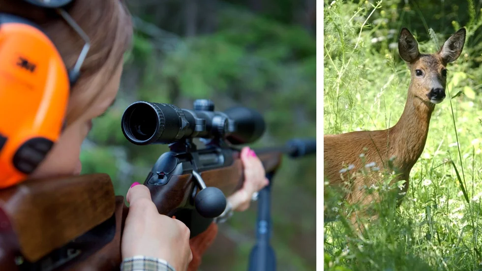 Det har varit mycket upprörda känslor kring de nysläppta reviderade jakttiderna från Naturvårdsverket i jägarled. Här ger representanter för Jägareförbundet i Kalmar län sin syn på saken.
