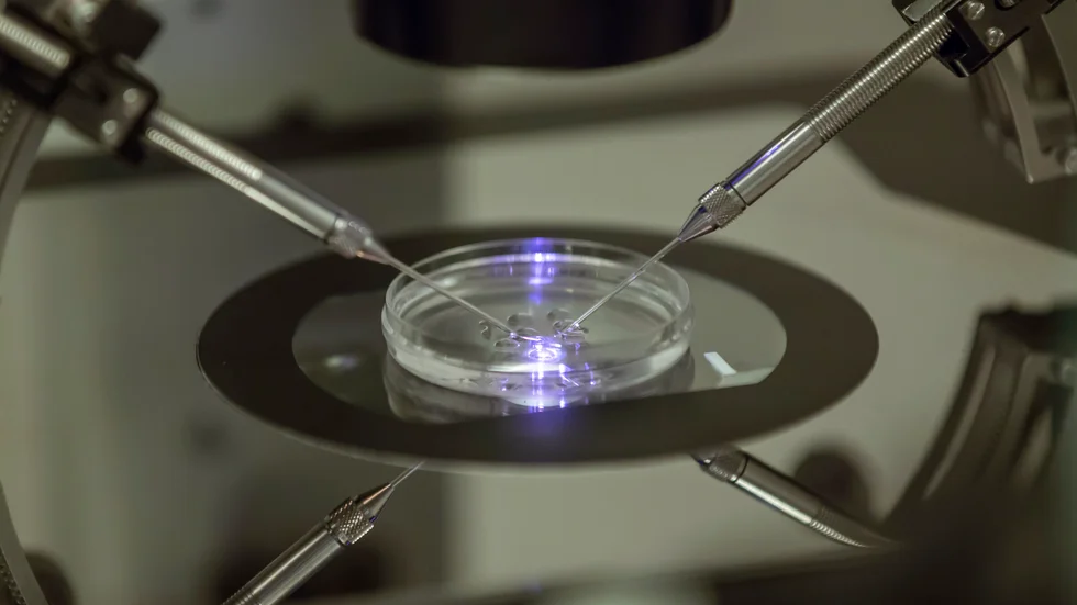 Franska singelkvinnor och lesbiska par behöver framöver inte åka utomlands för att genomföra IVF-behandling. Arkivbild.