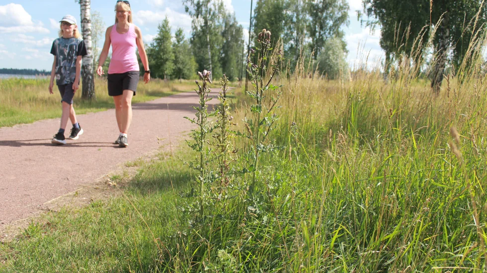 Hugo och Lisa Assargård går och springer ofta utmed Strandpromenaden. "Klart det är finare när gräset klipps, men det är inget alternativ nu, utan jag förstår beslutet", säger Lisa.