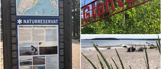 Sandängesstranden – ett naturskyddsområde för vem?   