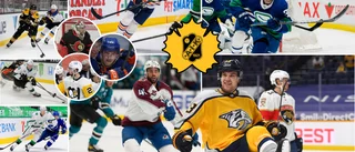 Genomgång: Skelleftespelarnas säsonger i NHL – han får högst betyg: "Supersuccé!" 