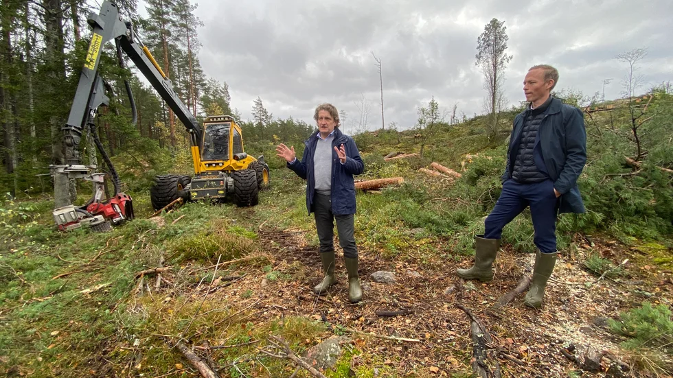 Nu avverkas ett nästan 55 fotbollsplaner stort område för att ge plats åt ett logistikcentrum i Nyköping. 