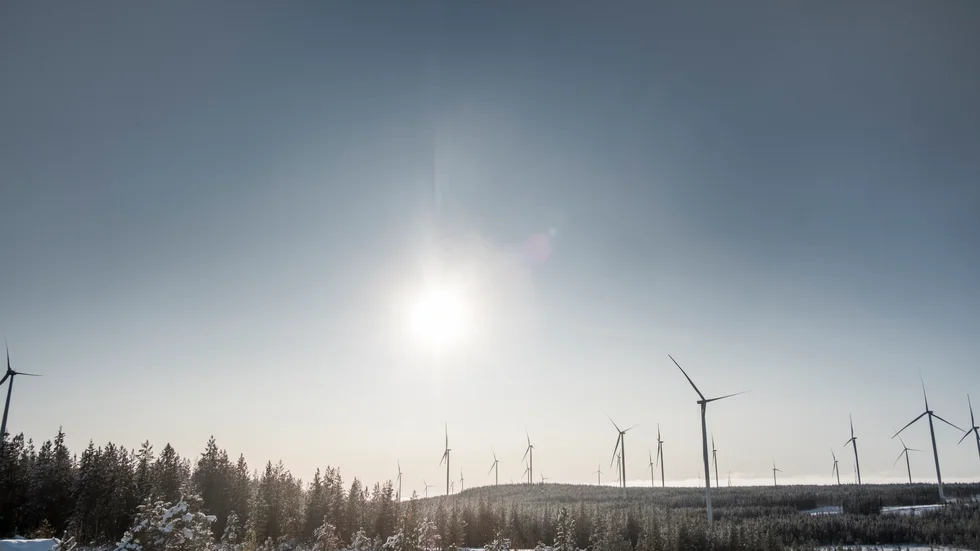 Det är svårt att förstå klokskapen i att fylla natursköna miljöer med storskalig vindkraftsindustri, skriver bland andra Charlotta Enqvist, gruppledare för Kristdemokraterna i Skellefteå.