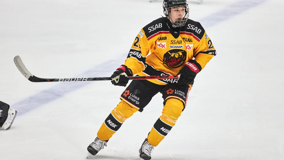 Fabian Lysell, Luleå Hockey.
