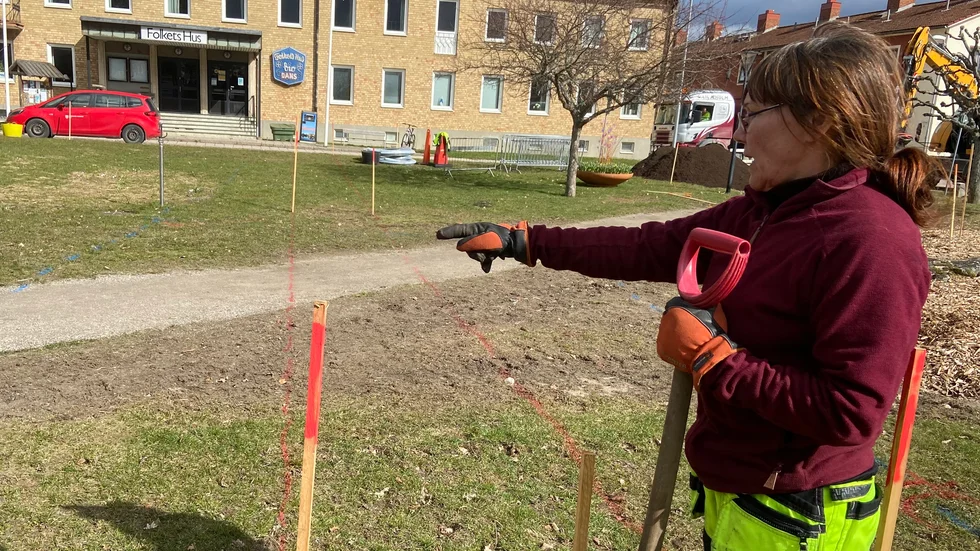 Saini Roesner arbetar med att få Åkerstorget vid Folkets hus att blomstra.