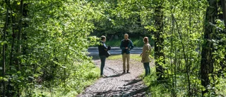 TV: Här kan Blodstensskogen bli bostäder