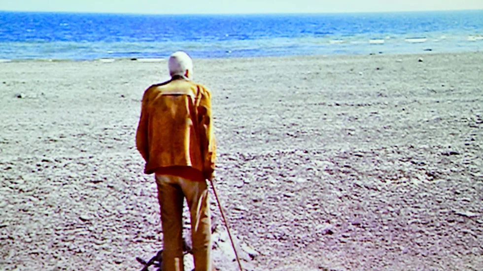 Ingmar Bergman blickar ut över havet. 