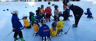Luleåklubbarna vill slås ihop – planerar hockeysektion