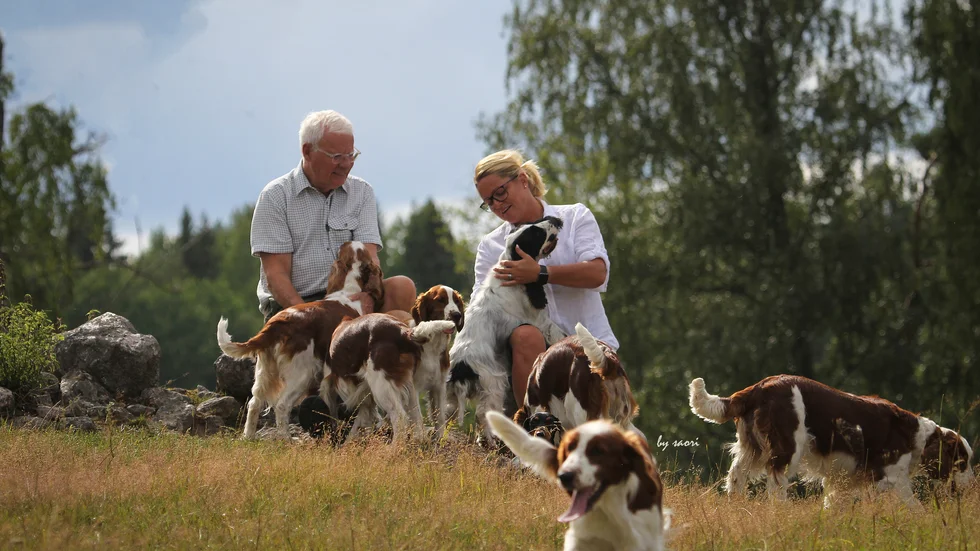 Per Aschan och Jessica Nilsson äger tillsammans Kennel Twinkle som föder upp welsh springer spaniel, pointer, cocker spaniel och dvärgtax.