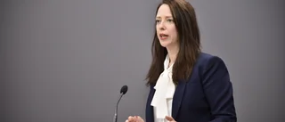 Regeringen satsar på gröna kreditgarantier