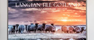 Almanacka "Längtan till Gotland"