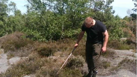 "Om jag gissar så tror jag att vi på sin höjd kan hitta fem vuxna djur". Det säger Magnus Karlsson, kommunekolog i Söderköping. 
