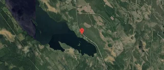 Tomt i Bastuträsk har fått ny ägare – priset: 95 000 kronor