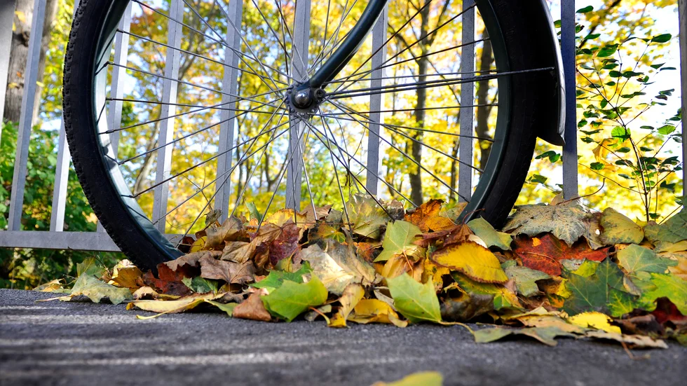 En kvinna döms till dryga böter för att ha cyklat i ett skyddsområde där en skjutövning pågick. (Arkivbild)