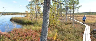 Spännande turistsatsningar i Jänkisjärvi