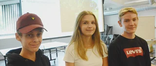 Ungdomarnas sommarjobb: Bedöma olika besöksmål i Vimmerby • Förbättringsområden pekas ut • "Vi ser en del brister"